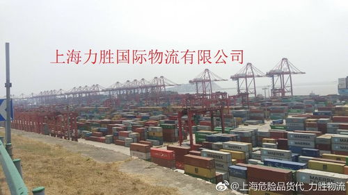 上海港危险品出口货代服务 危包证代办的关键要点与流程解析